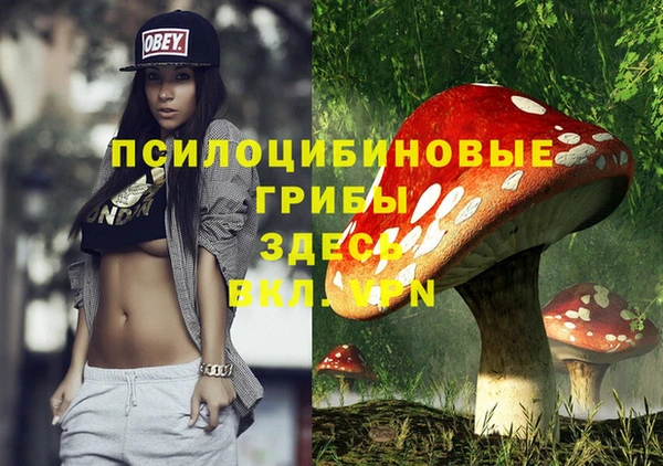 прущая мука Алзамай