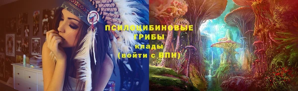 прущие крисы Алексин